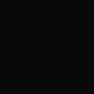 Meet your Posher, Ann